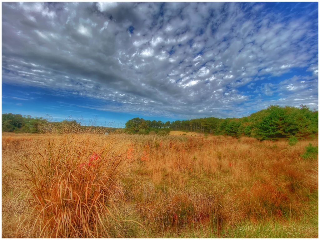beautiful landscape photo of field and clouds